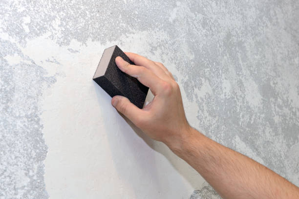 Best Mold Documentation for Insurance Claims  in Lakehills, TX