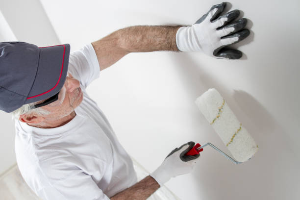 Best Mold-Related Health Consultation  in Lakehills, TX