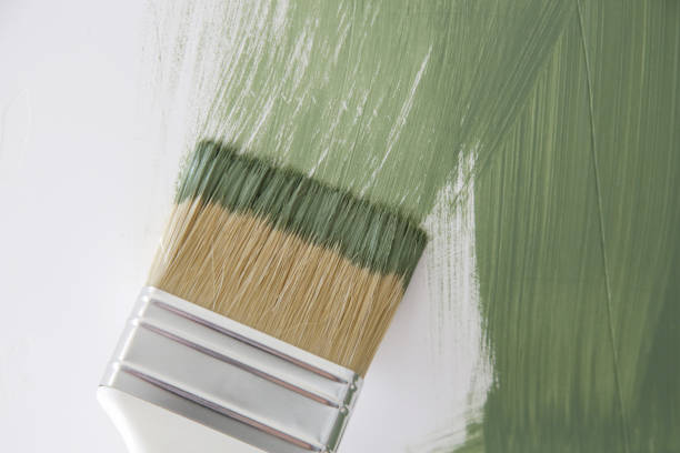 Reliable Lakehills, TX Mold Removal Solutions